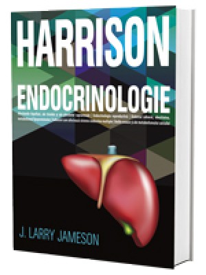 Harrison Endocrinologie