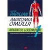 Anatomia omului