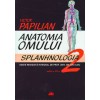 Anatomia omului